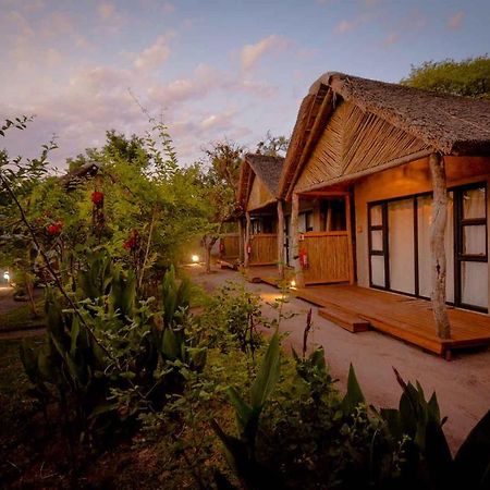 Khwai African Excursions Guest House المظهر الخارجي الصورة
