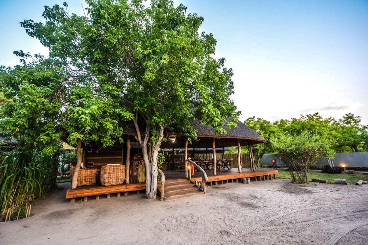 Khwai African Excursions Guest House المظهر الخارجي الصورة