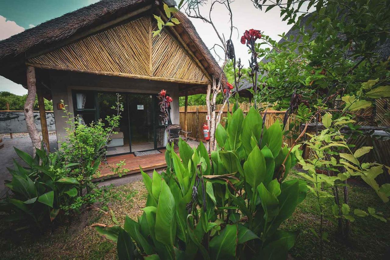Khwai African Excursions Guest House المظهر الخارجي الصورة