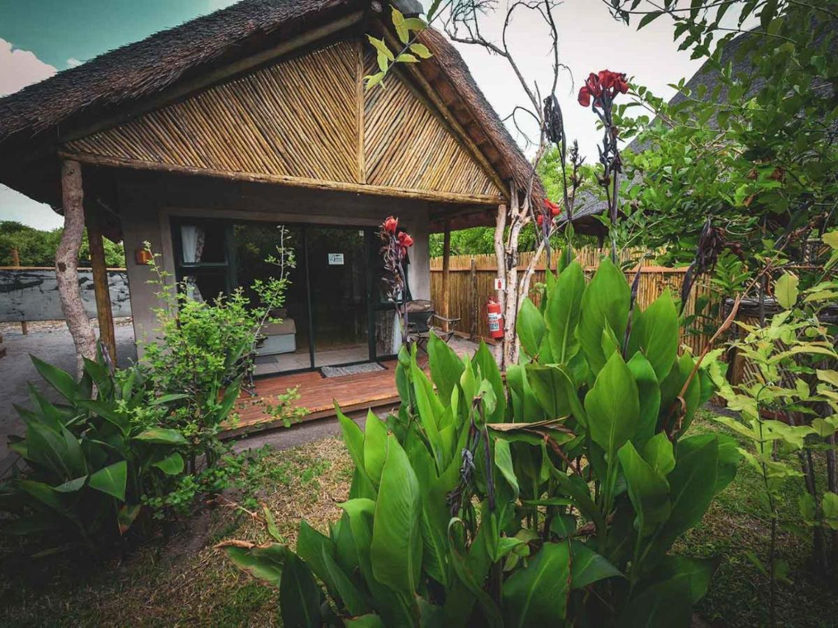 Khwai African Excursions Guest House المظهر الخارجي الصورة